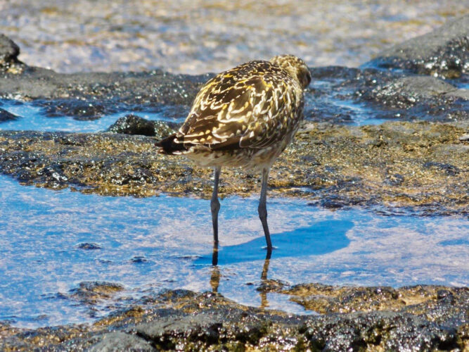 Send your best photos from Maui County to mauiphotos@mauinews.com for a chance to see them featured on our website and in our weekly print edition.